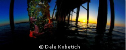 this shot was taken with a panorama housing in the winter... by Dale Kobetich 